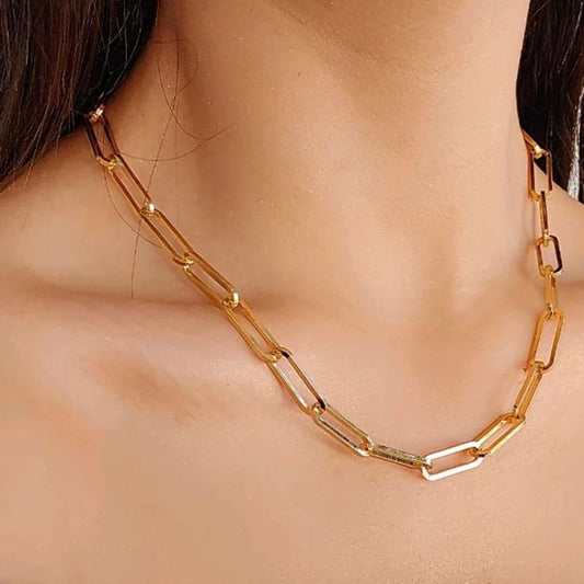 Oval link chain Necklace